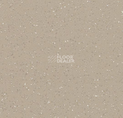 Линолеум Forbo Modul'up 19 dB Colour 3811UP4319 grey beige cristal фото 1 | FLOORDEALER